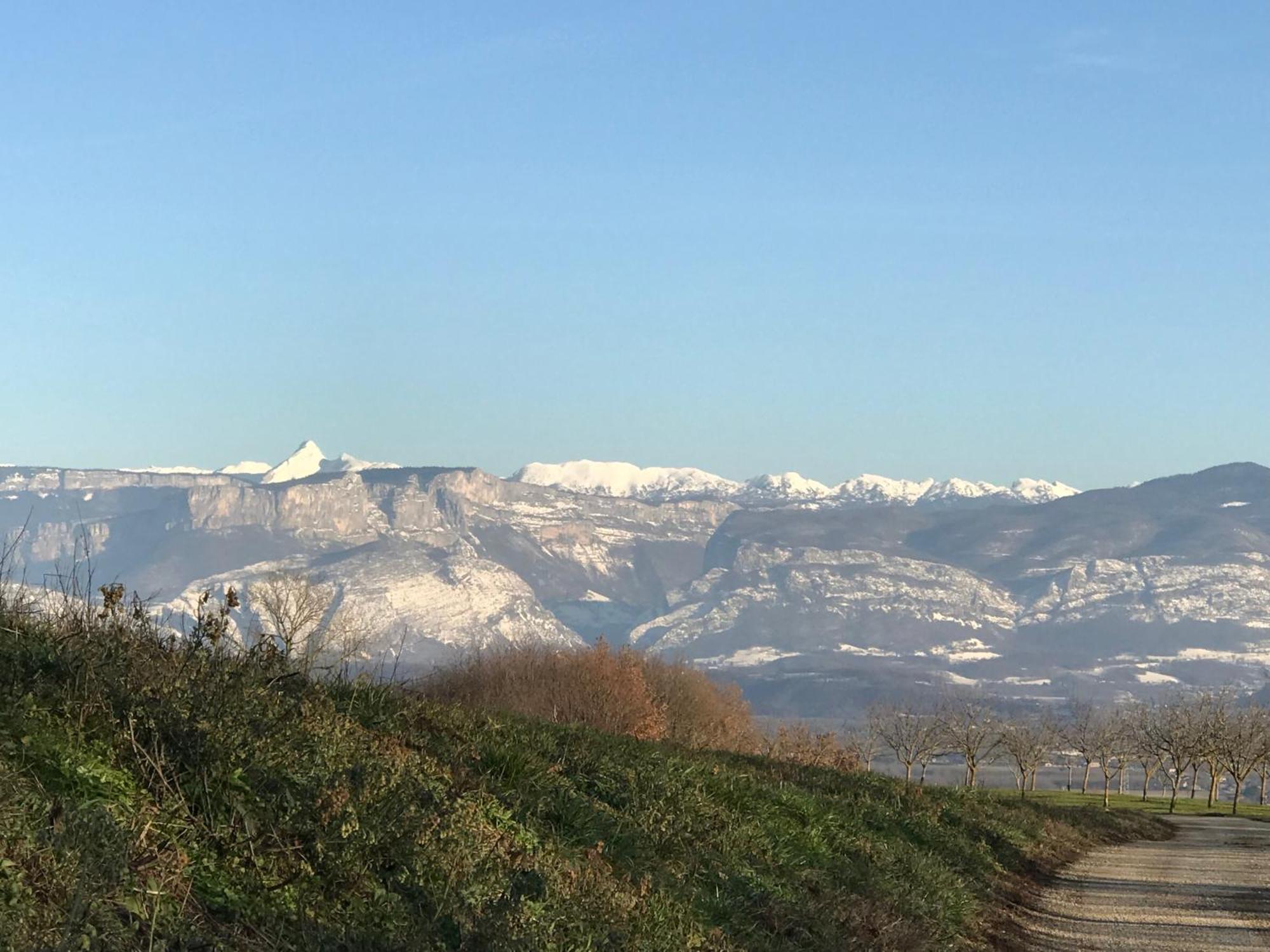 Gites&Chambres D Hotes Les Granges Du Fournel Saint-Lattier Zewnętrze zdjęcie