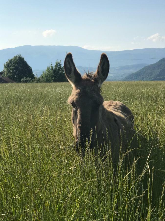 Gites&Chambres D Hotes Les Granges Du Fournel Saint-Lattier Zewnętrze zdjęcie